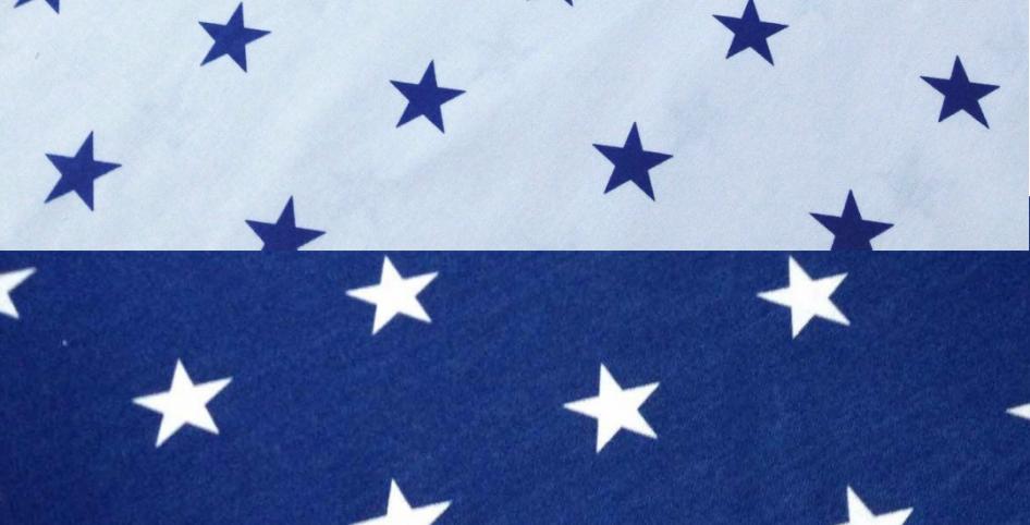 Звезды комби сине-белые Хлопок